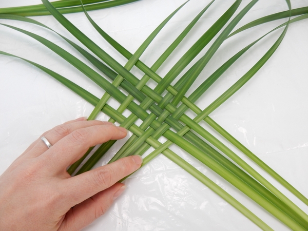 Start to weave blades of grass Start to weave blades of grass