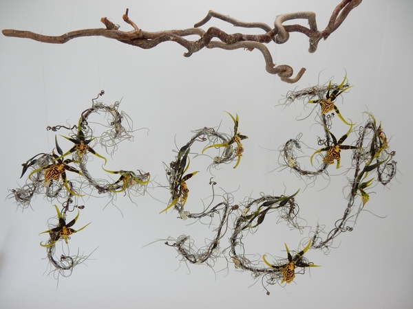 The oh no factor floral art design. The oh no factor floral art design.