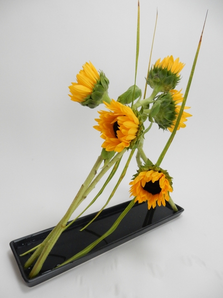 Too Hot! floral art design Too Hot! floral art design