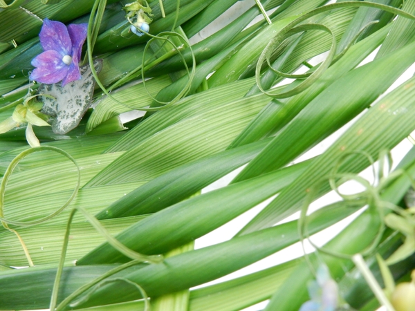 Twist and weave the lily grass around the wire Twist and weave the lily grass around the wire
