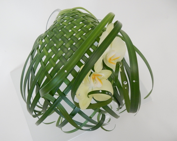 Woven lily grass Woven lily grass