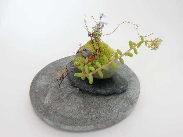and a scrap of a left over succulent and moss and a scrap of a left over succulent and moss