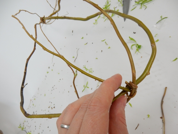Bend the top stem over and tuck it into the stem you used to connect the loops at the looped end Bend the top stem over and tuck it into the stem you used to connect the loops at the looped end