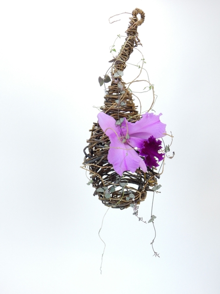 Ceropegia woodii flowers, Cattleya orchids and willow. Ceropegia woodii flowers, Cattleya orchids and willow.