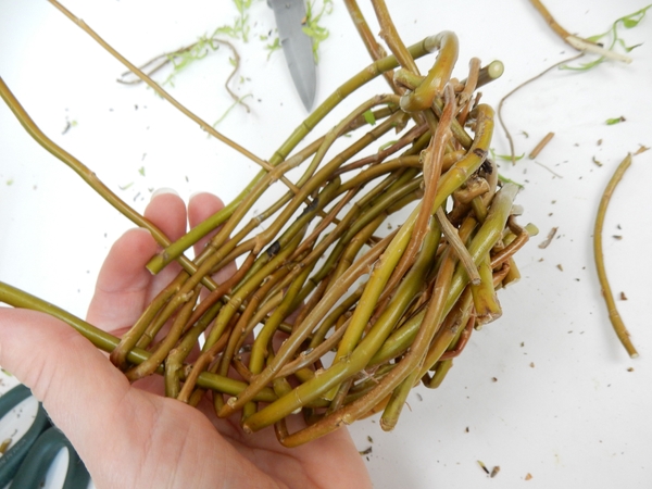 Continue weaving up adding stems as you go along Continue weaving up adding stems as you go along
