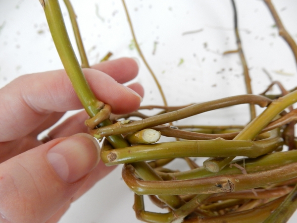 Create the opening by looping back the stem at the last willow twig Create the opening by looping back the stem at the last willow twig