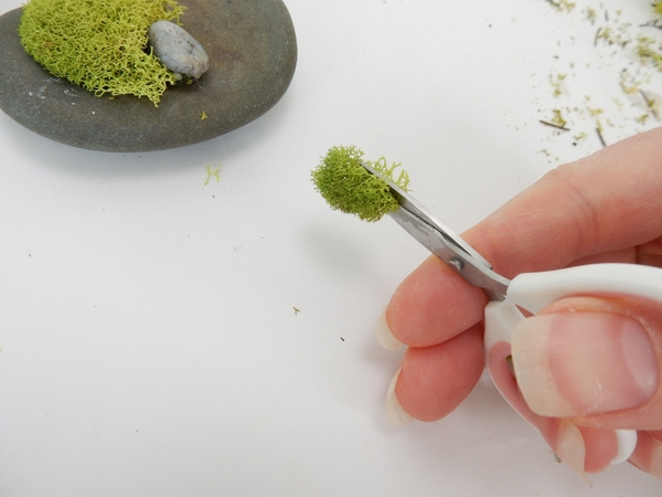 Cut the moss with sharp scissors to create a flat surface for the glue Cut the moss with sharp scissors to create a flat surface for the glue