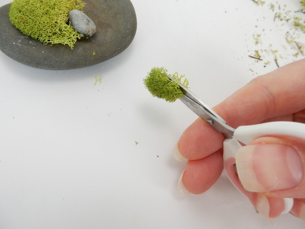 Cut the moss with sharp scissors to create a flat surface for the glue