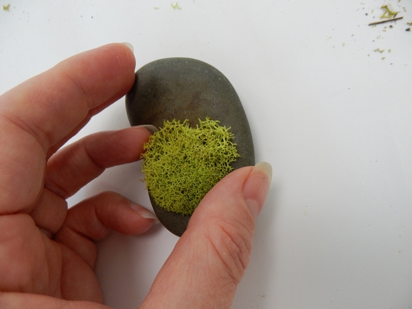 Glue a snippet of moss to a decorative rock with floral glue Glue a snippet of moss to a decorative rock with floral glue