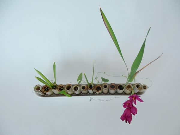 Ixia and bamboo upright design Ixia and bamboo upright design