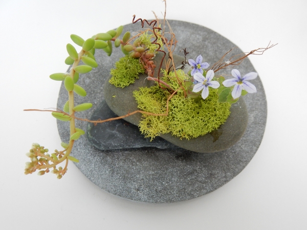Moss and succulent design Moss and succulent design