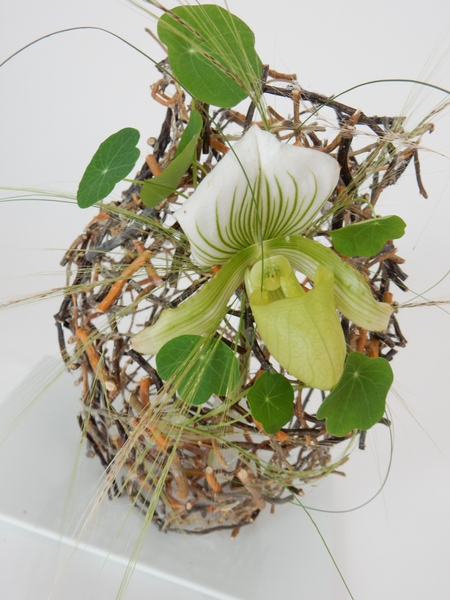 Paphiopedilum orchid on a twig snippet vase armature. Paphiopedilum orchid on a twig snippet vase armature.