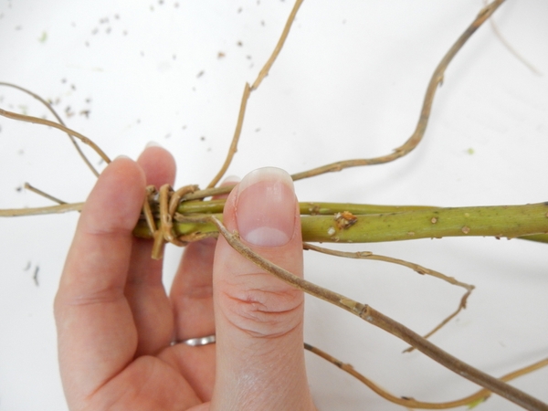 Press a thin stem into the top where the willow stems are connected Press a thin stem into the top where the willow stems are connected