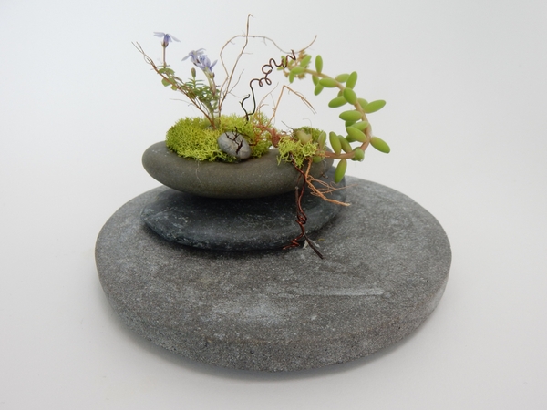 Rock and succulent design Rock and succulent design