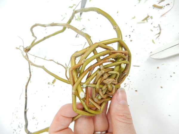 Shape the base of the nest as you spiral out Shape the base of the nest as you spiral out