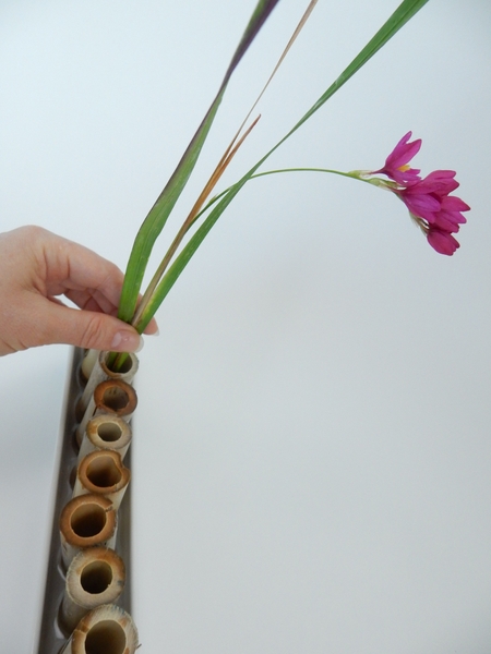 Stand the flowers upright in the stem cavity of the bamboo in the shallow container Stand the flowers upright in the stem cavity of the bamboo in the shallow container