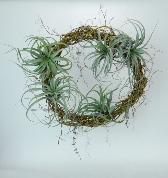 Strangeness floral art design Strangeness floral art design