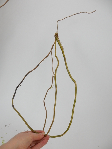 This is the basic nest shape This is the basic nest shape