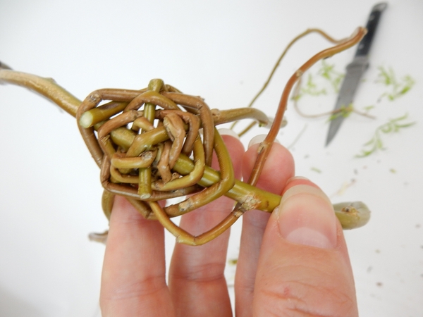 When you reach the end of a stem simply press in a new stem and continue weaving When you reach the end of a stem simply press in a new stem and continue weaving