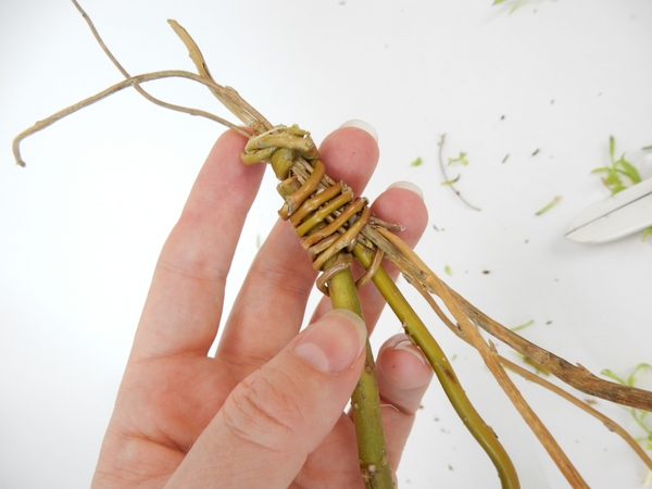 Wrap the stem to make sure it is firmly secure and that the stems are all in place Wrap the stem to make sure it is firmly secure and that the stems are all in place