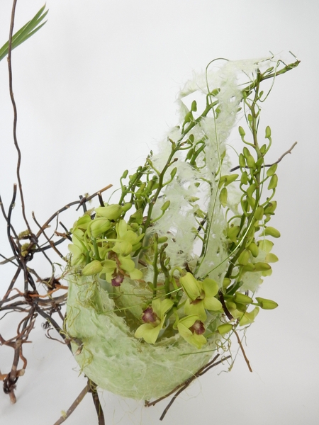 Dendrobium orchids in a papier mache nest