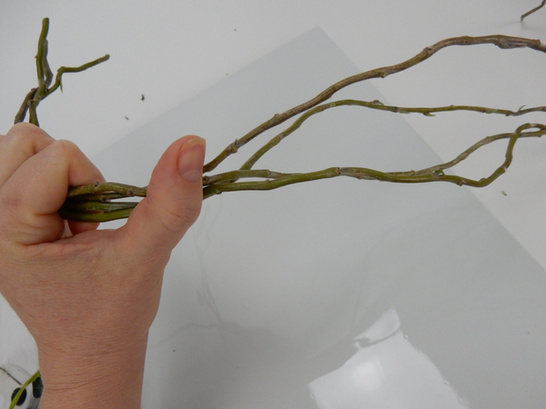 Gather the stems and start to gently manipulate them by bending it down the length of the stem