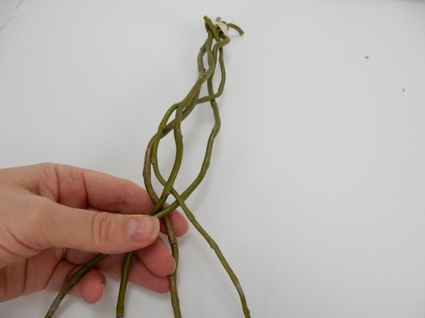Gently plait and weave the stems into a long tangle. Gently plait and weave the stems into a long tangle.