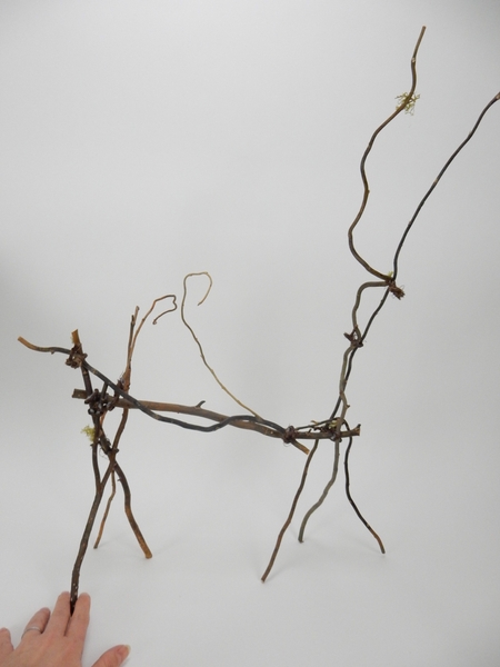 Leaf nests twig tangle Leaf nests twig tangle