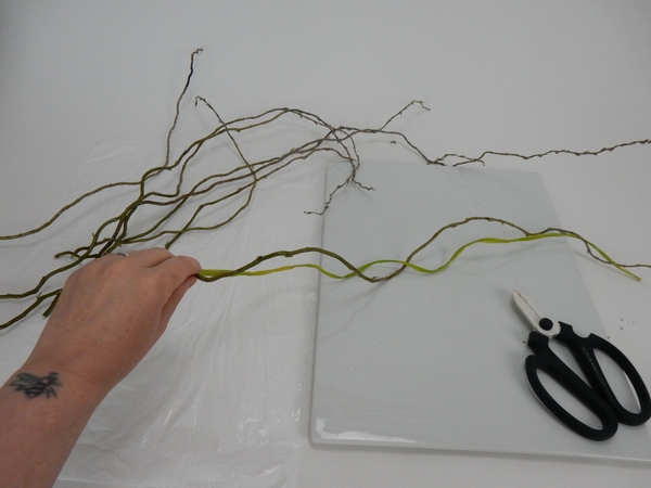 Measure out the fresh and pliable willow stems Measure out the fresh and pliable willow stems