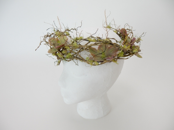 Reindeer moss on the willow crown Reindeer moss on the willow crown