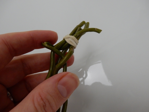 Secure the stems at one end with an elastic band Secure the stems at one end with an elastic band
