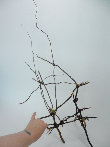 Spider web twig tangle Spider web twig tangle