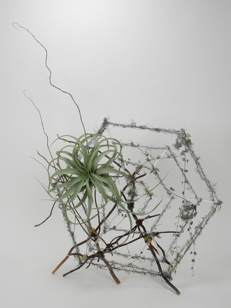 Spiderweb floral art design Spiderweb floral art design