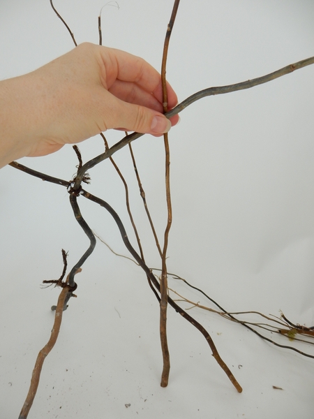 When it is completely secure add more twigs to create more stability and strength When it is completely secure add more twigs to create more stability and strength