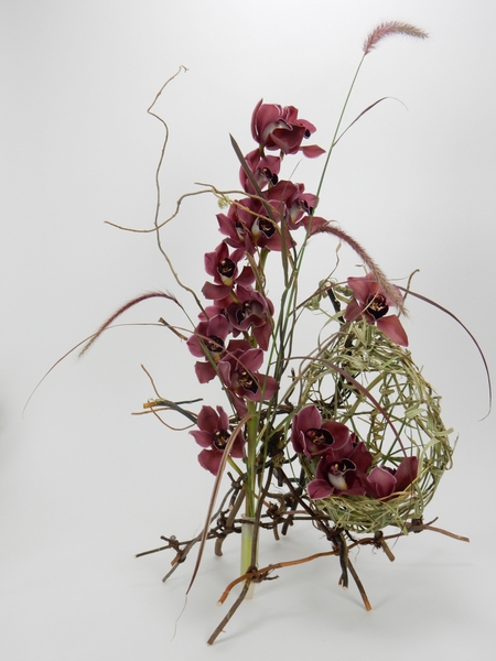 Birds nest design Birds nest design