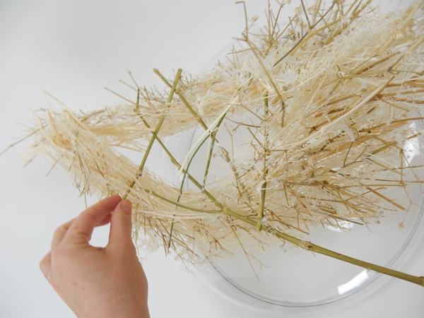 Cross the stems to form a grid Cross the stems to form a grid