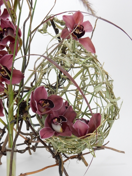 Cymbidium orchids in the grass bird's nest Cymbidium orchids in the grass bird's nest