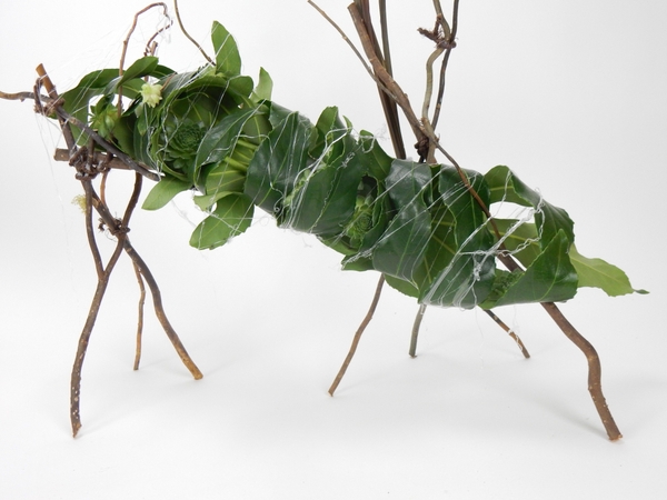 Leaf nest for succulents Leaf nest for succulents