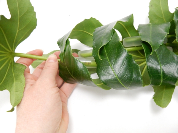 Nestle in another leaf from both sides Nestle in another leaf from both sides