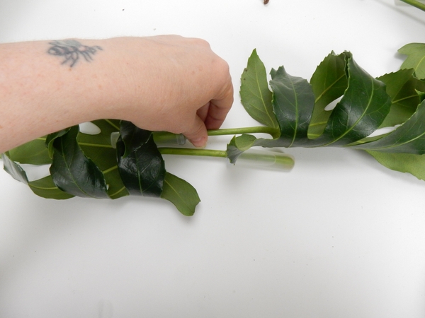 Place the stem ends in a water tube to keep the leaf hydrated Place the stem ends in a water tube to keep the leaf hydrated