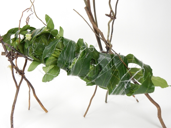 Rolled leaves to create a nest for the succulents Rolled leaves to create a nest for the succulents