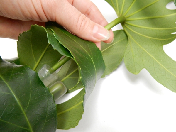 Slip the one stem into the next so that both the water tubes are inside the leaf tubes Slip the one stem into the next so that both the water tubes are inside the leaf tubes