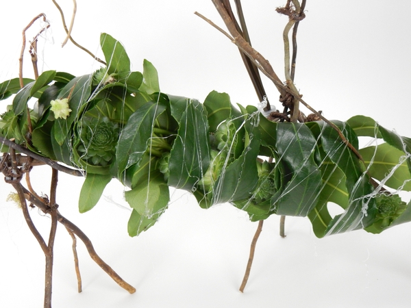 Succulent leaf nest Succulent leaf nest