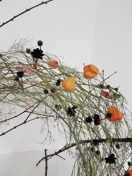 Autumn chocolate cosmos wreath Autumn chocolate cosmos wreath
