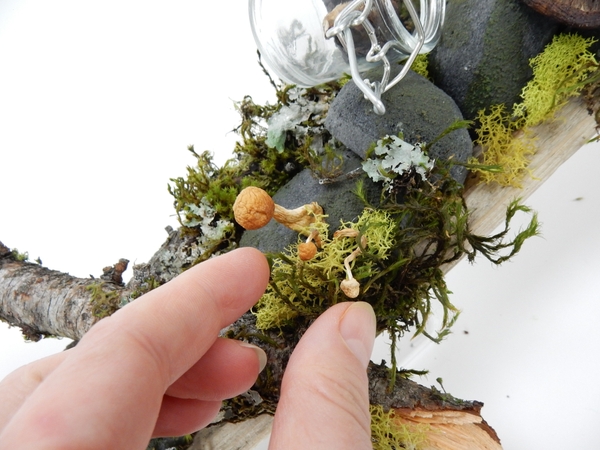 Cover the base with a small bit of moss Cover the base with a small bit of moss
