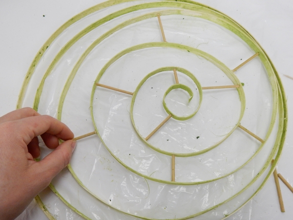 Creating a wide flat spiral Creating a wide flat spiral