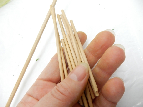 Cut a thin dowel into snippets Cut a thin dowel into snippets