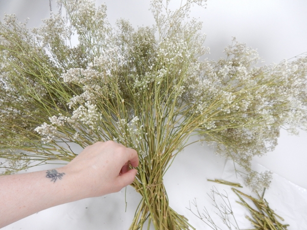 Cut the tiny flowers away from a huge bunch of dried Baby's breath