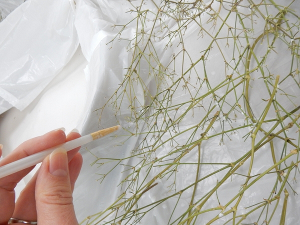 Glue any bits that can be wiggled with more wood glue. Glue any bits that can be wiggled with more wood glue.