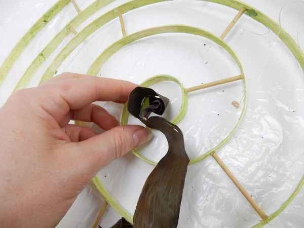 Glue in a ti leaf to follow the spiral Glue in a ti leaf to follow the spiral